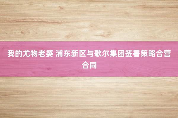我的尤物老婆 浦东新区与歌尔集团签署策略合营合同