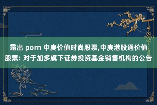 露出 porn 中庚价值时尚股票,中庚港股通价值股票: 对于加多旗下证券投资基金销售机构的公告