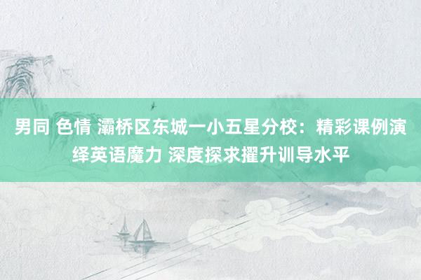 男同 色情 灞桥区东城一小五星分校：精彩课例演绎英语魔力 深度探求擢升训导水平