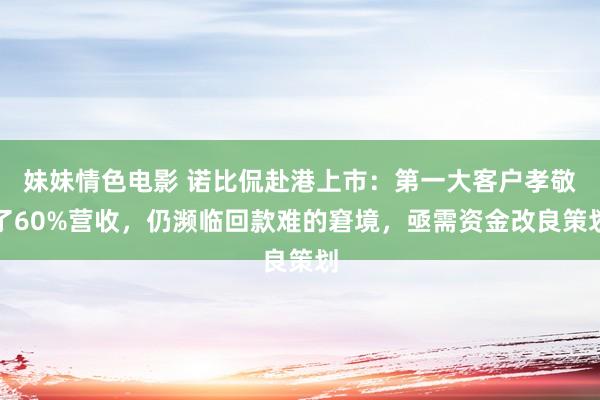 妹妹情色电影 诺比侃赴港上市：第一大客户孝敬了60%营收，仍濒临回款难的窘境，亟需资金改良策划