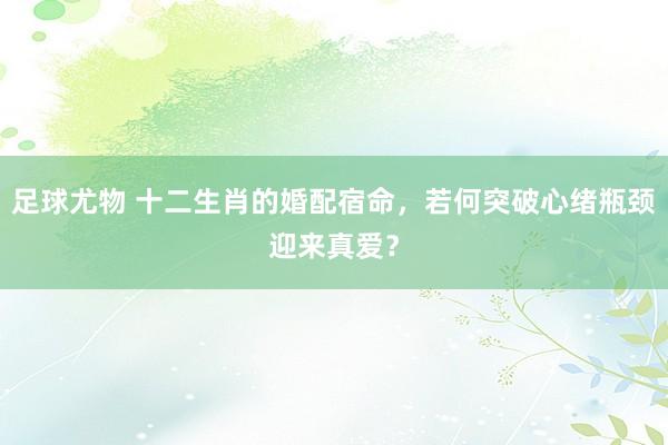 足球尤物 十二生肖的婚配宿命，若何突破心绪瓶颈迎来真爱？