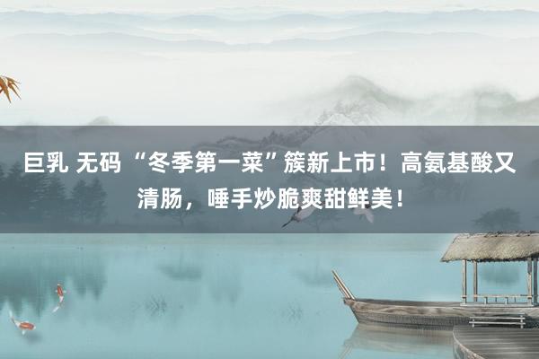 巨乳 无码 “冬季第一菜”簇新上市！高氨基酸又清肠，唾手炒脆爽甜鲜美！