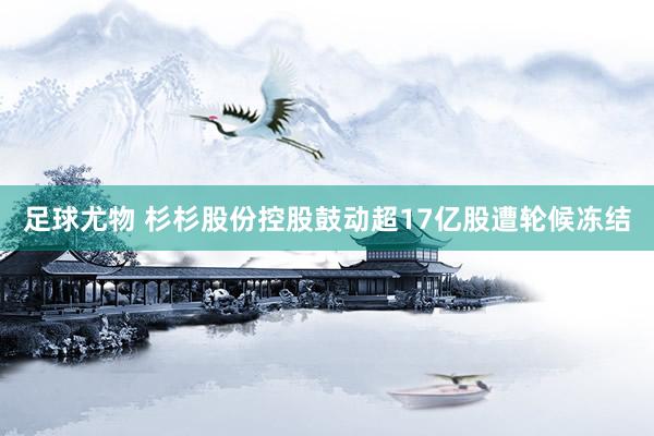 足球尤物 杉杉股份控股鼓动超17亿股遭轮候冻结