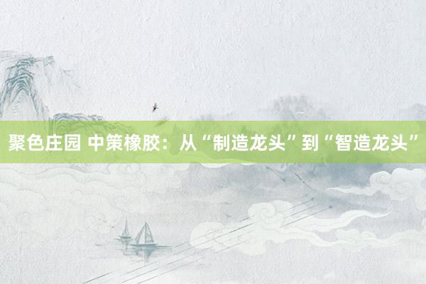 聚色庄园 中策橡胶：从“制造龙头”到“智造龙头”