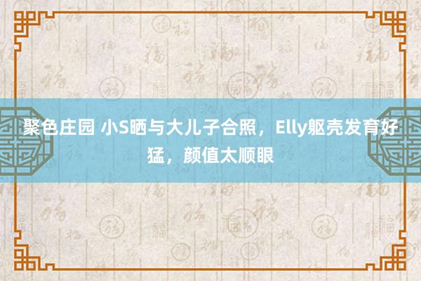 聚色庄园 小S晒与大儿子合照，Elly躯壳发育好猛，颜值太顺眼