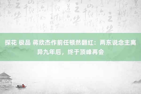 探花 极品 蒋欣杰作前任顿然翻红：两东说念主离异九年后，终于顶峰再会