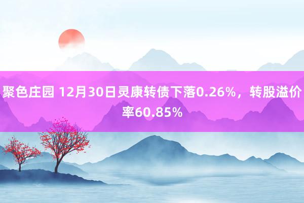 聚色庄园 12月30日灵康转债下落0.26%，转股溢价率60.85%