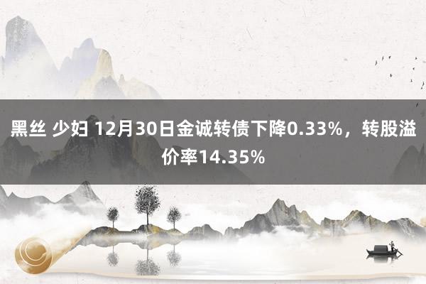 黑丝 少妇 12月30日金诚转债下降0.33%，转股溢价率14.35%