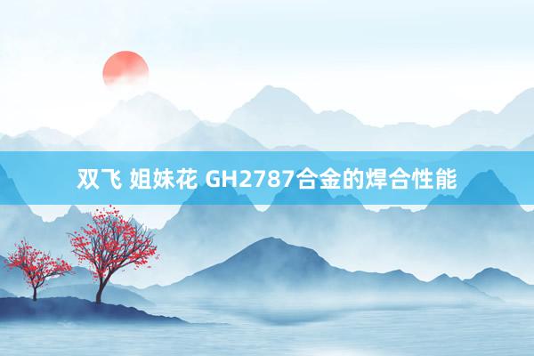 双飞 姐妹花 GH2787合金的焊合性能