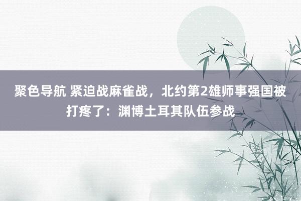 聚色导航 紧迫战麻雀战，北约第2雄师事强国被打疼了：渊博土耳其队伍参战