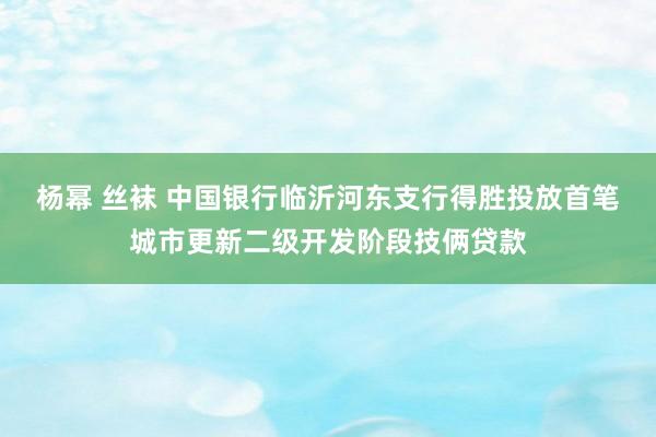 杨幂 丝袜 中国银行临沂河东支行得胜投放首笔城市更新二级开发阶段技俩贷款