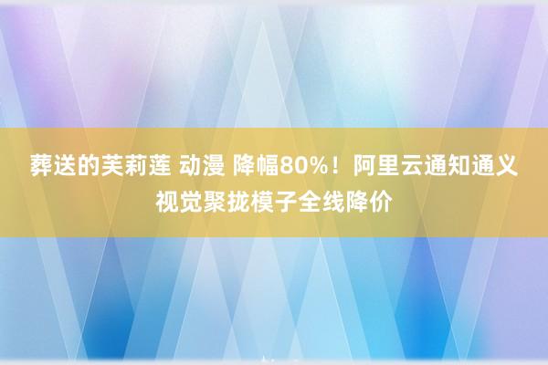 葬送的芙莉莲 动漫 降幅80%！阿里云通知通义视觉聚拢模子全线降价