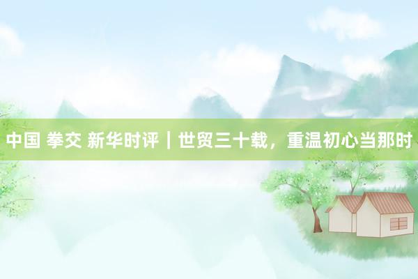 中国 拳交 新华时评｜世贸三十载，重温初心当那时