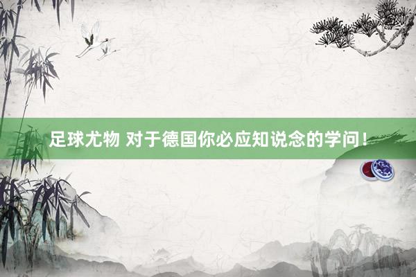 足球尤物 对于德国你必应知说念的学问！
