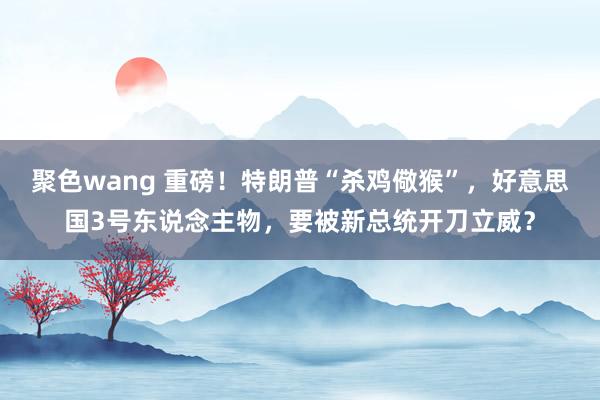 聚色wang 重磅！特朗普“杀鸡儆猴”，好意思国3号东说念主物，要被新总统开刀立威？