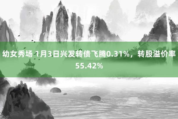 幼女秀场 1月3日兴发转债飞腾0.31%，转股溢价率55.42%
