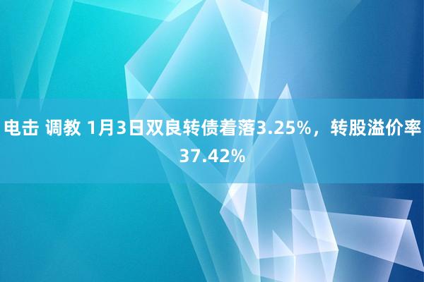 电击 调教 1月3日双良转债着落3.25%，转股溢价率37.42%