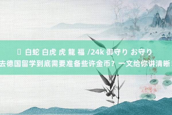 ✨白蛇 白虎 虎 龍 福 /24k 御守り お守り 去德国留学到底需要准备些许金币？一文给你讲清晰！