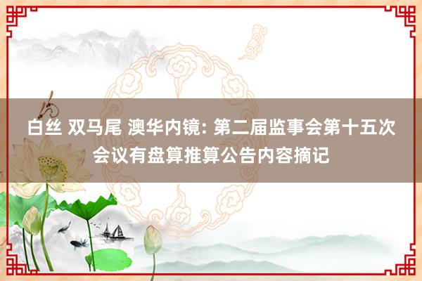 白丝 双马尾 澳华内镜: 第二届监事会第十五次会议有盘算推算公告内容摘记
