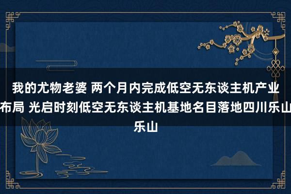 我的尤物老婆 两个月内完成低空无东谈主机产业布局 光启时刻低空无东谈主机基地名目落地四川乐山