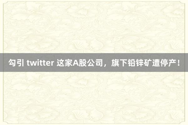 勾引 twitter 这家A股公司，旗下铅锌矿遭停产！