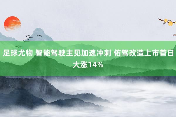 足球尤物 智能驾驶主见加速冲刺 佑驾改造上市首日大涨14%
