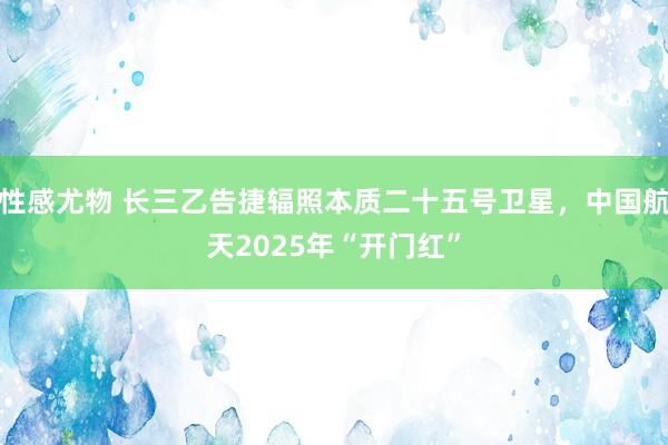 性感尤物 长三乙告捷辐照本质二十五号卫星，中国航天2025年“开门红”