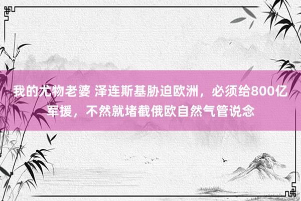 我的尤物老婆 泽连斯基胁迫欧洲，必须给800亿军援，不然就堵截俄欧自然气管说念