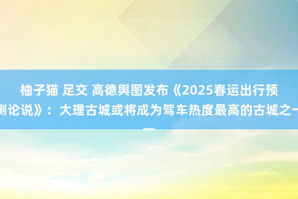 柚子猫 足交 高德舆图发布《2025春运出行预测论说》：大理古城或将成为驾车热度最高的古城之一
