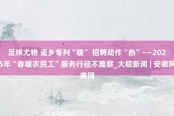 足球尤物 返乡专列“暖” 招聘动作“热”——2025年“春暖农民工”服务行径不雅察_大皖新闻 | 安徽网