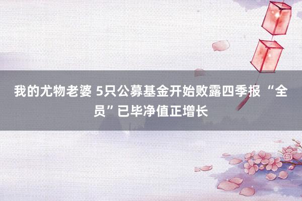 我的尤物老婆 5只公募基金开始败露四季报 “全员”已毕净值正增长