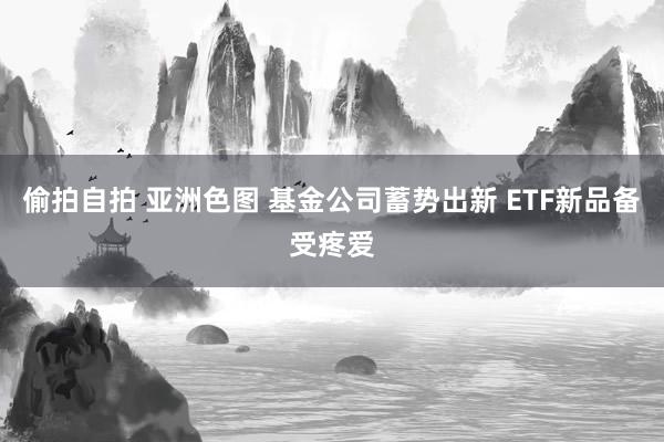 偷拍自拍 亚洲色图 基金公司蓄势出新 ETF新品备受疼爱