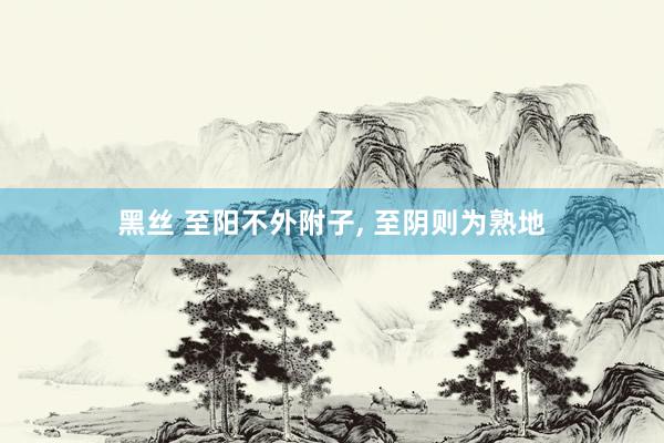 黑丝 至阳不外附子， 至阴则为熟地