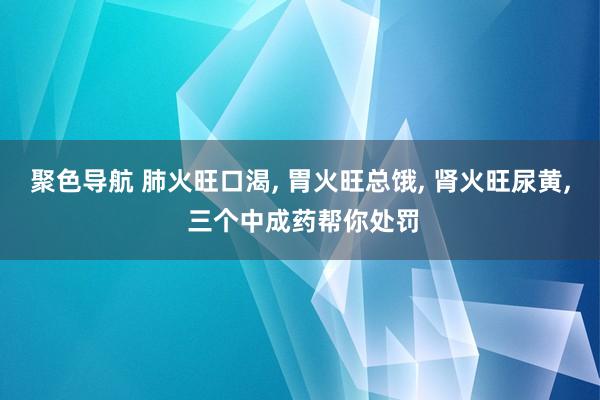 聚色导航 肺火旺口渴， 胃火旺总饿， 肾火旺尿黄， 三个中成药帮你处罚
