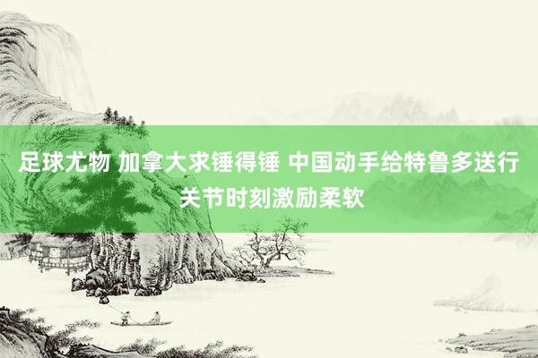 足球尤物 加拿大求锤得锤 中国动手给特鲁多送行 关节时刻激励柔软