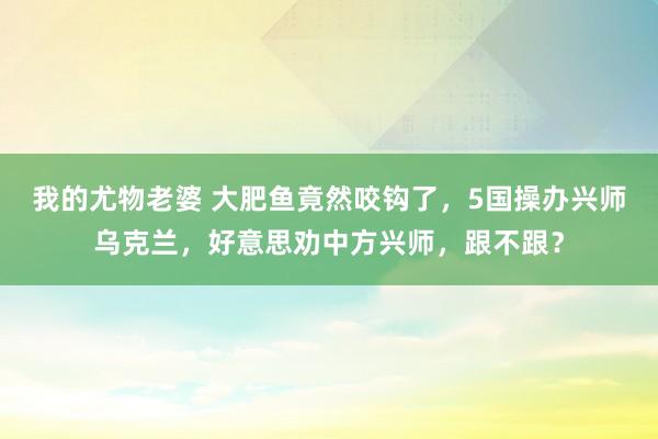 我的尤物老婆 大肥鱼竟然咬钩了，5国操办兴师乌克兰，好意思劝中方兴师，跟不跟？