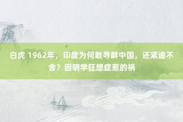 白虎 1962年，印度为何敢寻衅中国，还紧追不舍？因明学狂想症惹的祸