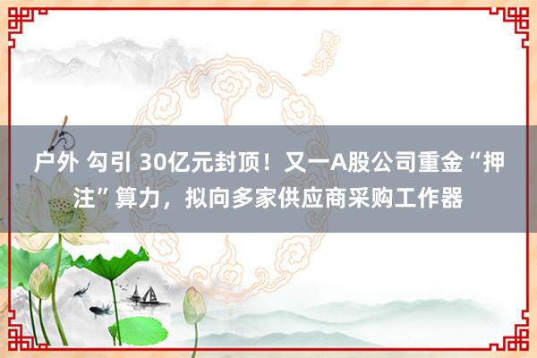 户外 勾引 30亿元封顶！又一A股公司重金“押注”算力，拟向多家供应商采购工作器