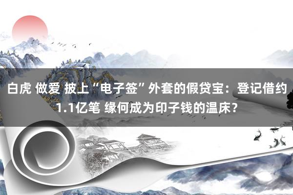 白虎 做爱 披上“电子签”外套的假贷宝：登记借约1.1亿笔 缘何成为印子钱的温床？