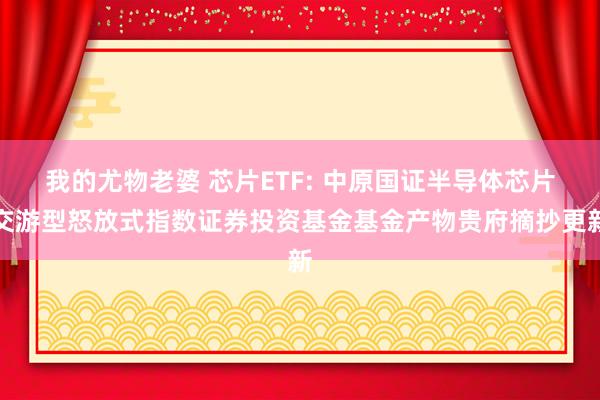 我的尤物老婆 芯片ETF: 中原国证半导体芯片交游型怒放式指数证券投资基金基金产物贵府摘抄更新