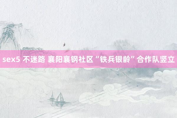 sex5 不迷路 襄阳襄钢社区“铁兵银龄”合作队竖立