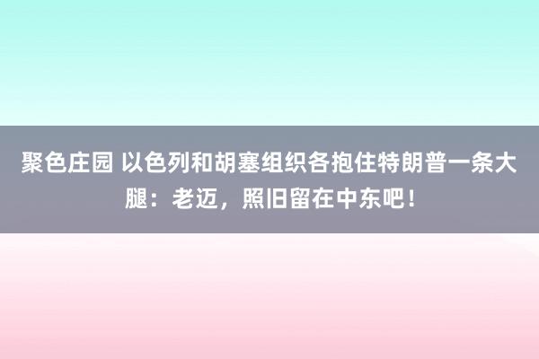 聚色庄园 以色列和胡塞组织各抱住特朗普一条大腿：老迈，照旧留在中东吧！