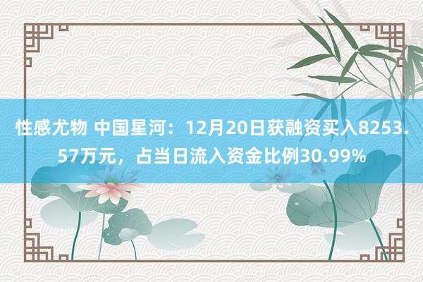 性感尤物 中国星河：12月20日获融资买入8253.57万元，占当日流入资金比例30.99%