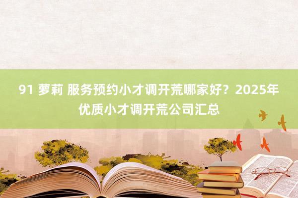 91 萝莉 服务预约小才调开荒哪家好？2025年优质小才调开荒公司汇总