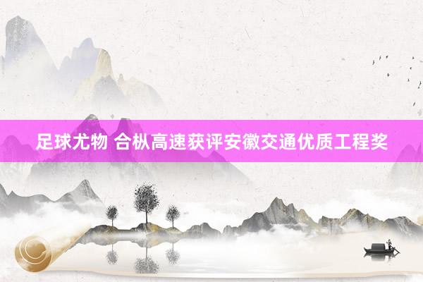 足球尤物 合枞高速获评安徽交通优质工程奖