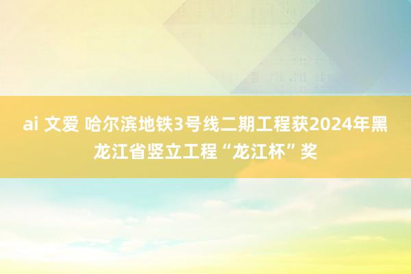 ai 文爱 哈尔滨地铁3号线二期工程获2024年黑龙江省竖立工程“龙江杯”奖