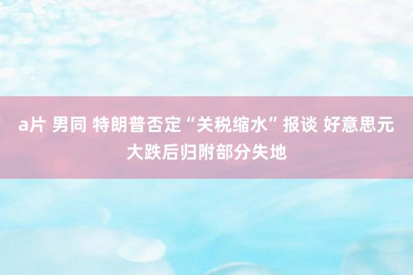 a片 男同 特朗普否定“关税缩水”报谈 好意思元大跌后归附部分失地