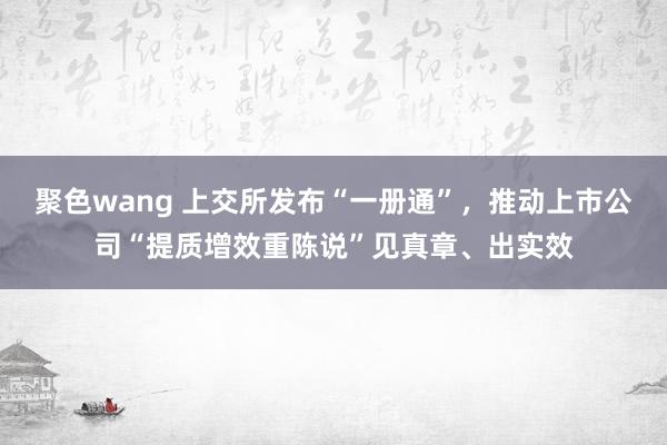 聚色wang 上交所发布“一册通”，推动上市公司“提质增效重陈说”见真章、出实效