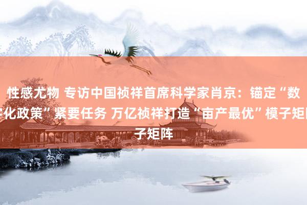 性感尤物 专访中国祯祥首席科学家肖京：锚定“数字化政策”紧要任务 万亿祯祥打造“亩产最优”模子矩阵