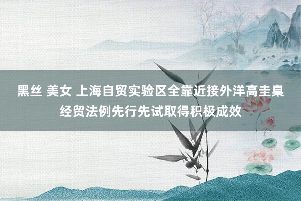 黑丝 美女 上海自贸实验区全靠近接外洋高圭臬经贸法例先行先试取得积极成效
